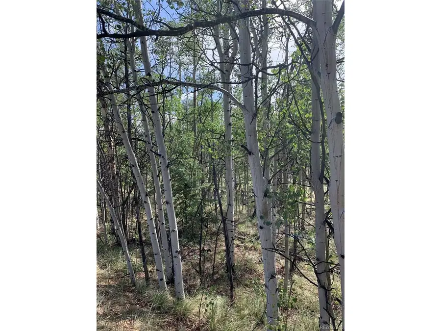 540 Vulture Ln, Como, CO 80432 - #2