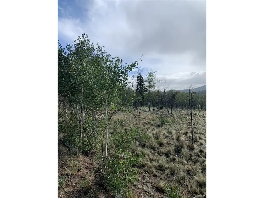 540 Vulture Ln, Como, CO 80432 - #3