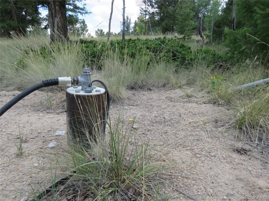 9389 Ranch Rd, Hartsel, CO 80449 - #3