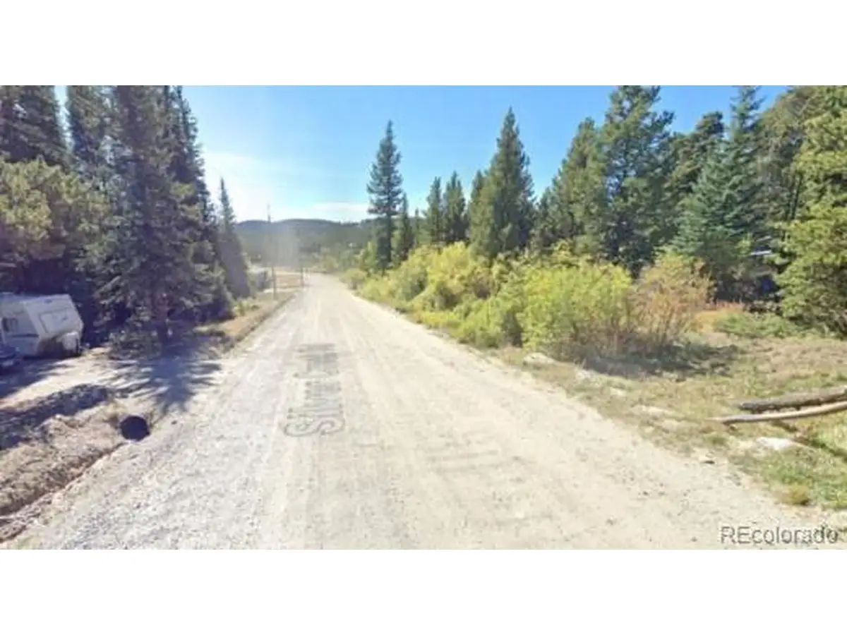 1 Silver Creek Rd, Idaho Springs, CO 80452 - #1