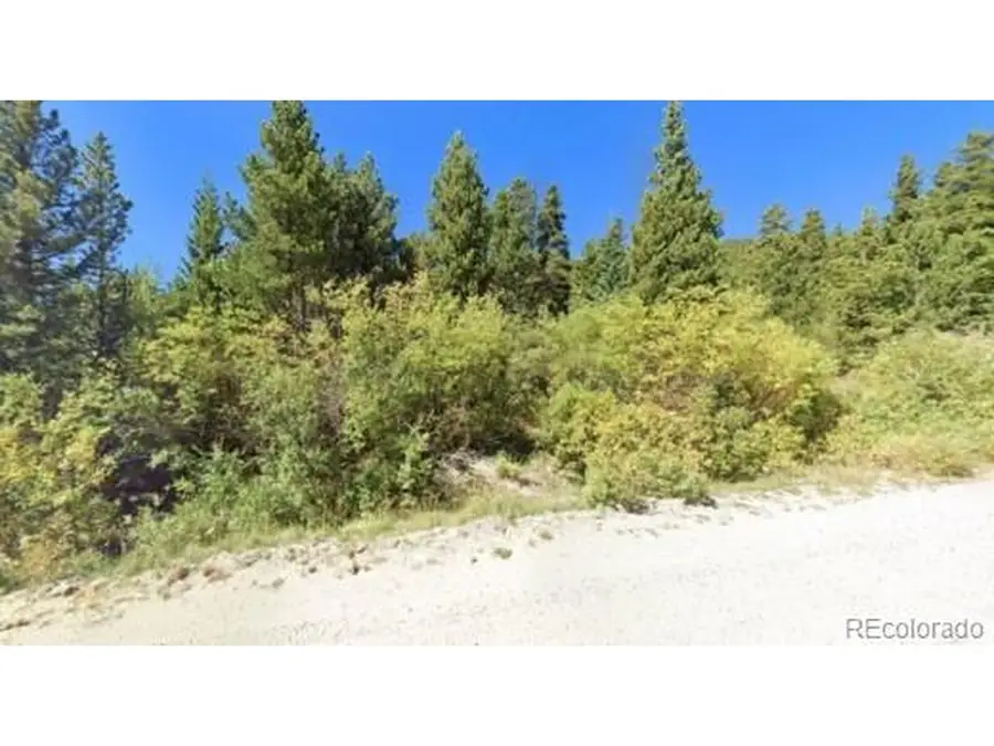 1 Silver Creek Rd, Idaho Springs, CO 80452 - #2