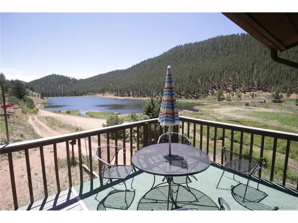 415 Bishop Rd, Bailey, CO 80421