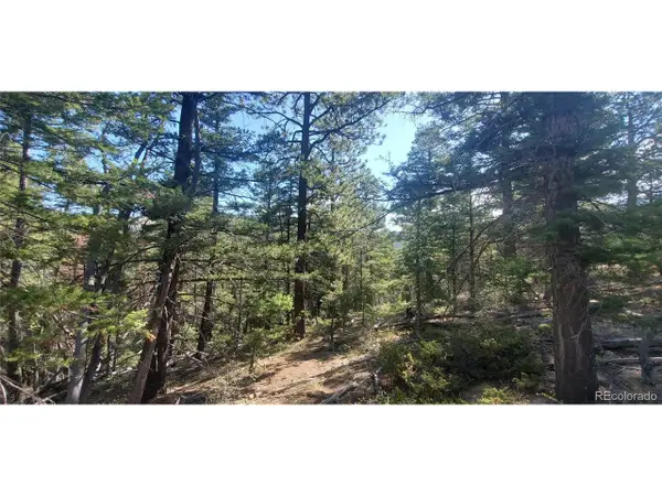 5273 Vivian Rd, Fort Garland, CO 81133