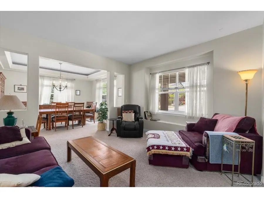 13251 Wild Basin Way, Broomfield, CO 80020 - #3