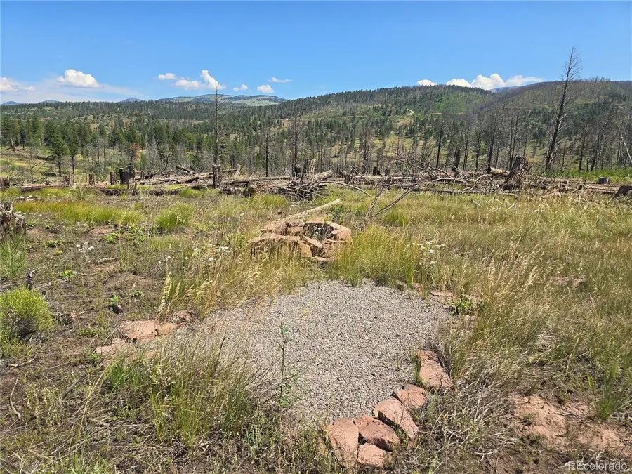 695 Cogbill Dr, Fort Garland, CO 81133 - #2