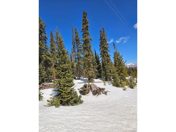 135 Valley Of The Sun Dr, Fairplay, CO 80440