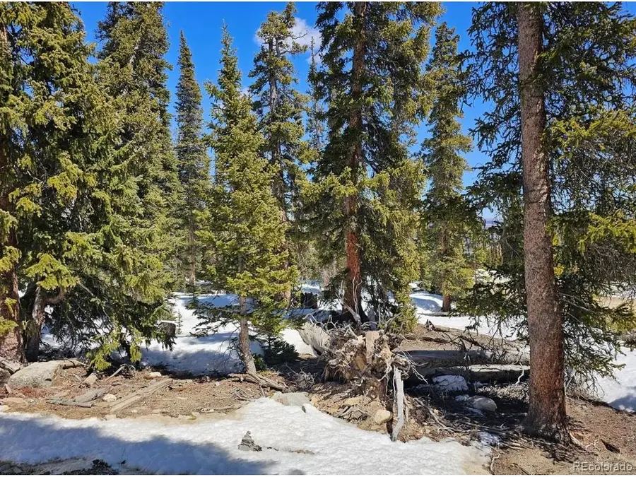 135 Valley Of The Sun Dr, Fairplay, CO 80440 - #2