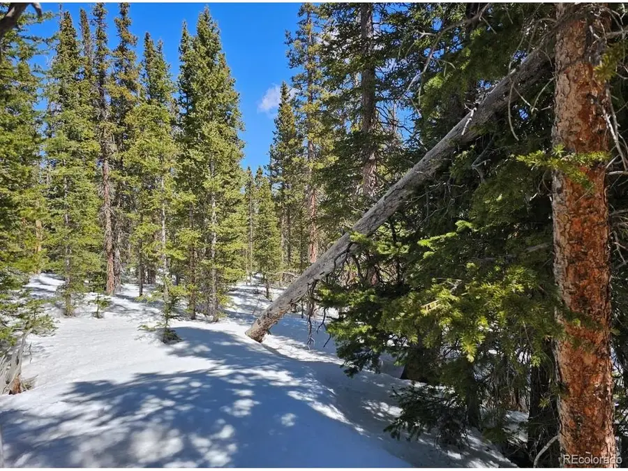 135 Valley Of The Sun Dr, Fairplay, CO 80440 - #3