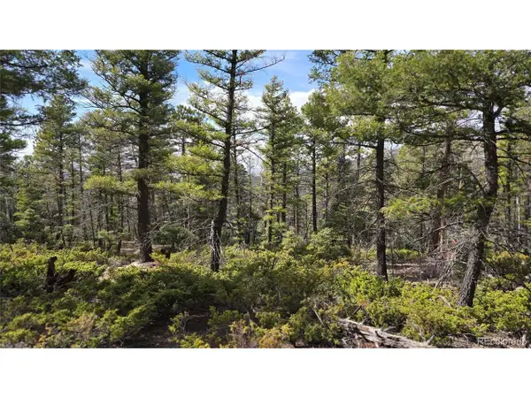 6070 Vreeland Rd, San Luis, CO 81152