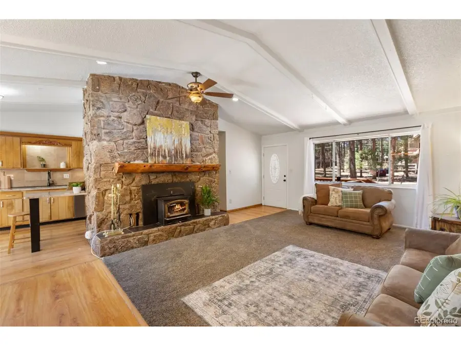 723 N Center St, Woodland Park, CO 80863 - #2