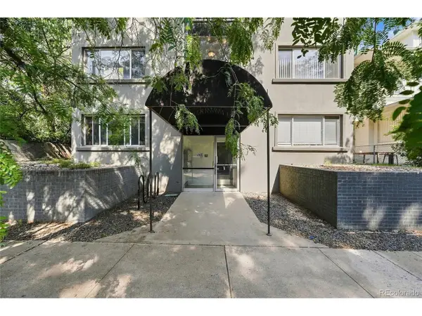 1056 N Marion St #203, Denver, CO 80218