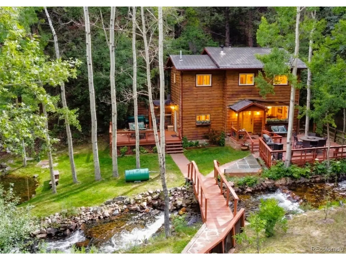 731 Mill Creek Rd, Dumont, CO 80436 - #1