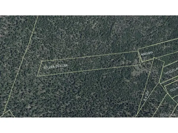 0 Silver Dollar Lode, Georgetown, CO 80444