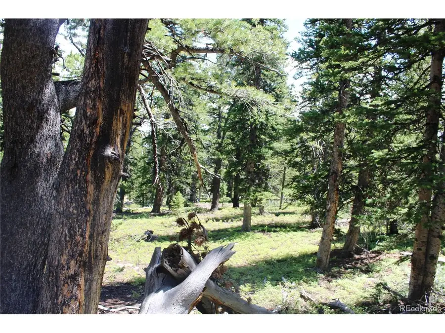 0 Fs 412.1j, Black Hawk, CO 80422 - #3