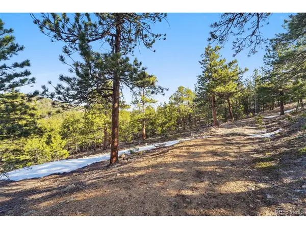 854 Crescent Lake Rd, Golden, CO 80403