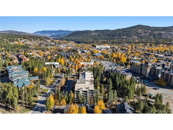 455 Village Rd #215, Breckenridge, CO 80424