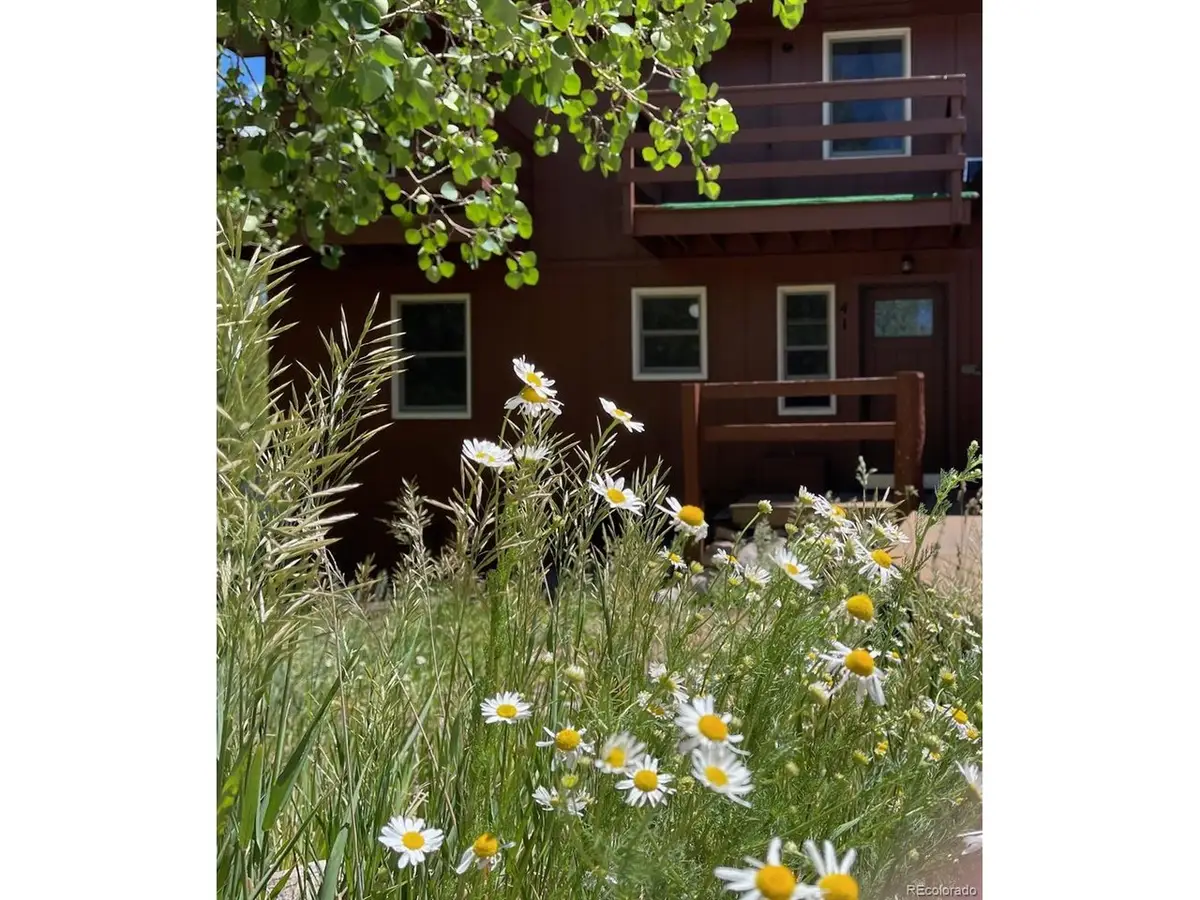 41 Poplar Cir, Silverthorne, CO 80498 - #1