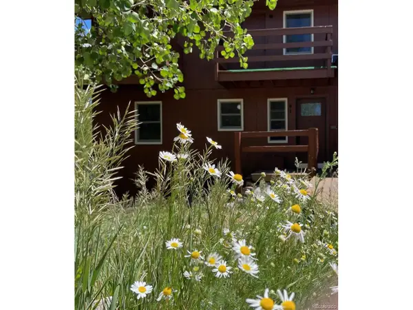 41 Poplar Cir, Silverthorne, CO 80498