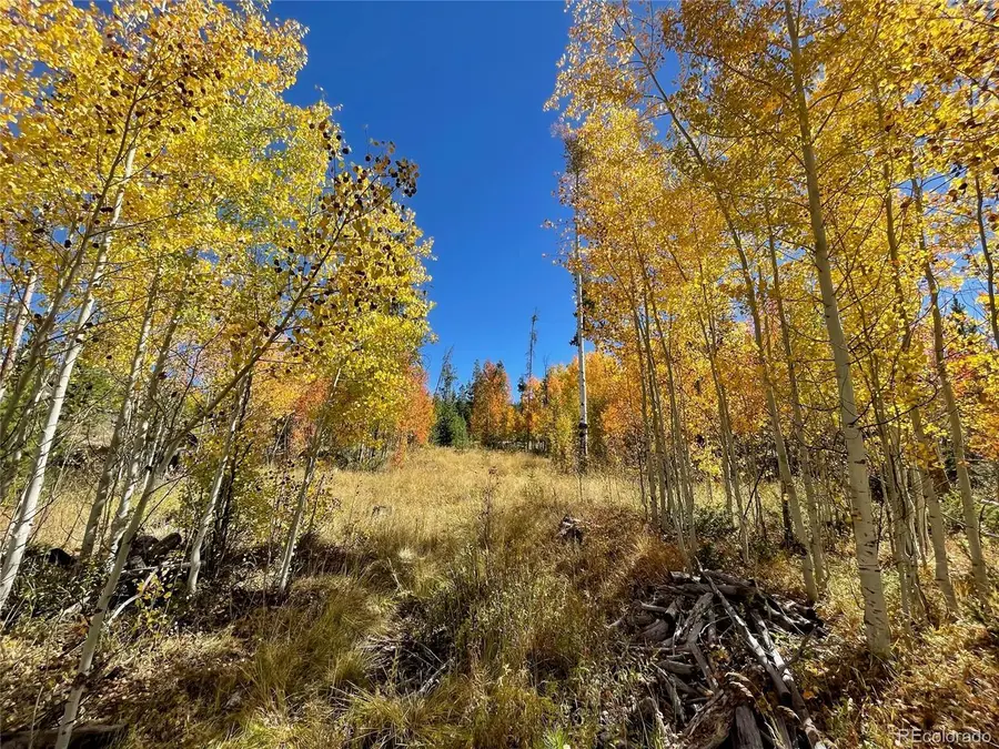 1384 Cr-642, Grand Lake, CO 80447 - #3