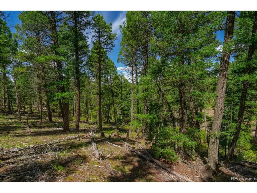 384 Insmont Ln, Florissant, CO 80816 - #2