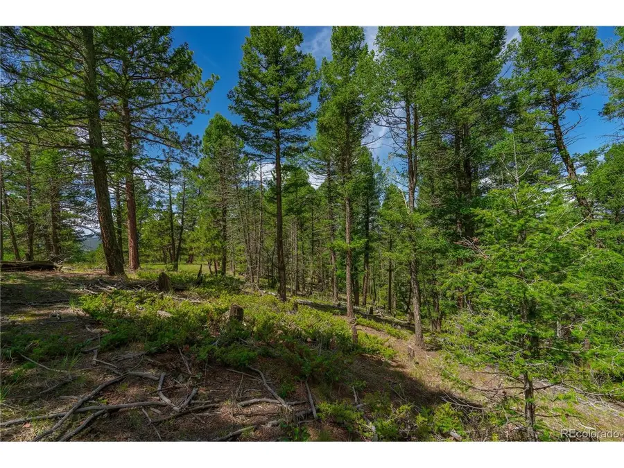 384 Insmont Ln, Florissant, CO 80816 - #3