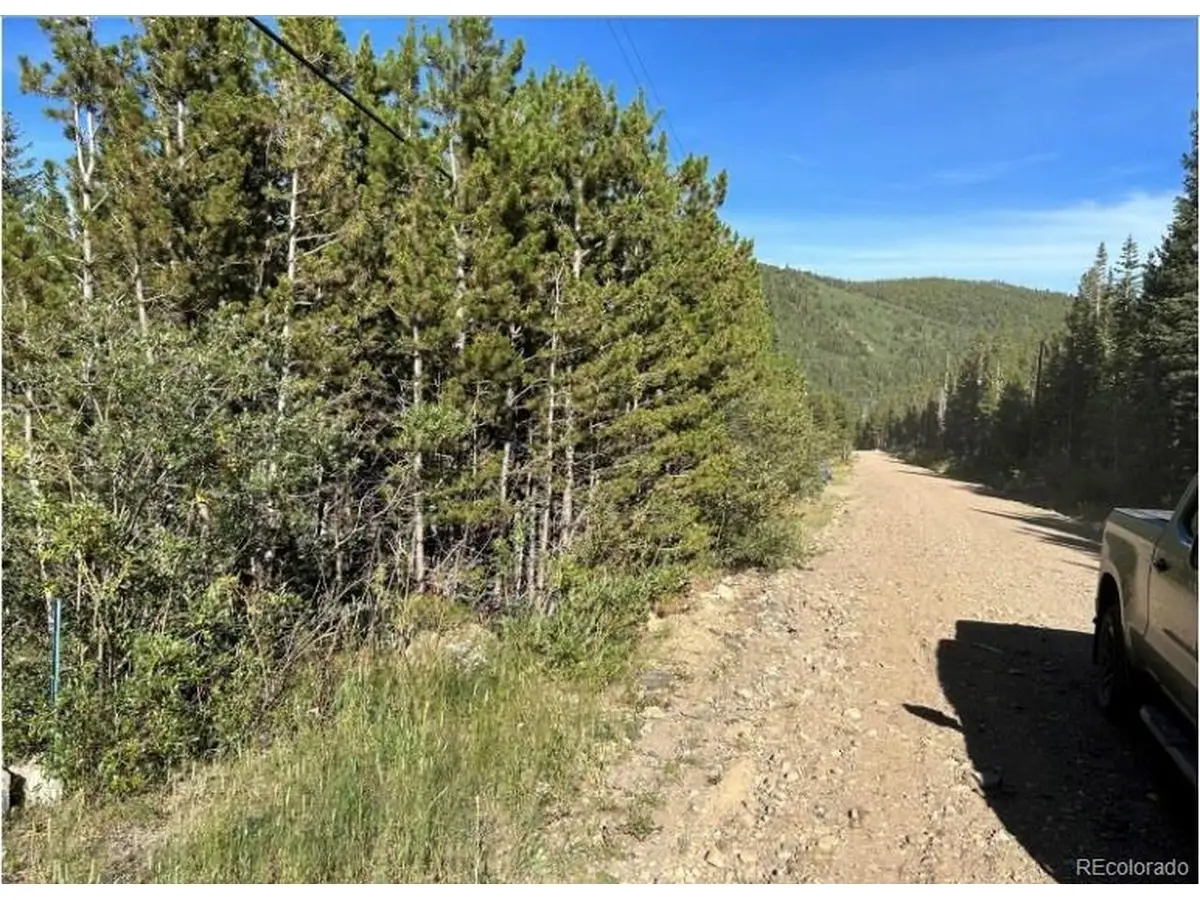 343 Aspen Rd, Idaho Springs, CO 80452 - #1