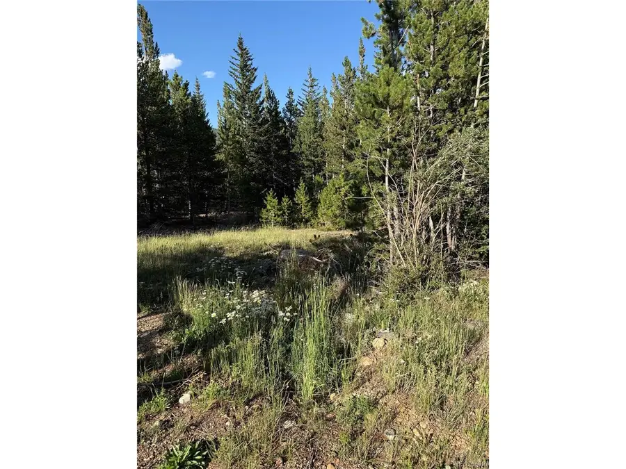 343 Aspen Rd, Idaho Springs, CO 80452 - #3