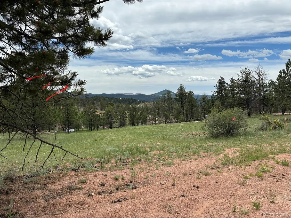 266 Chapparal Trl, Florissant, CO 80816 - #1