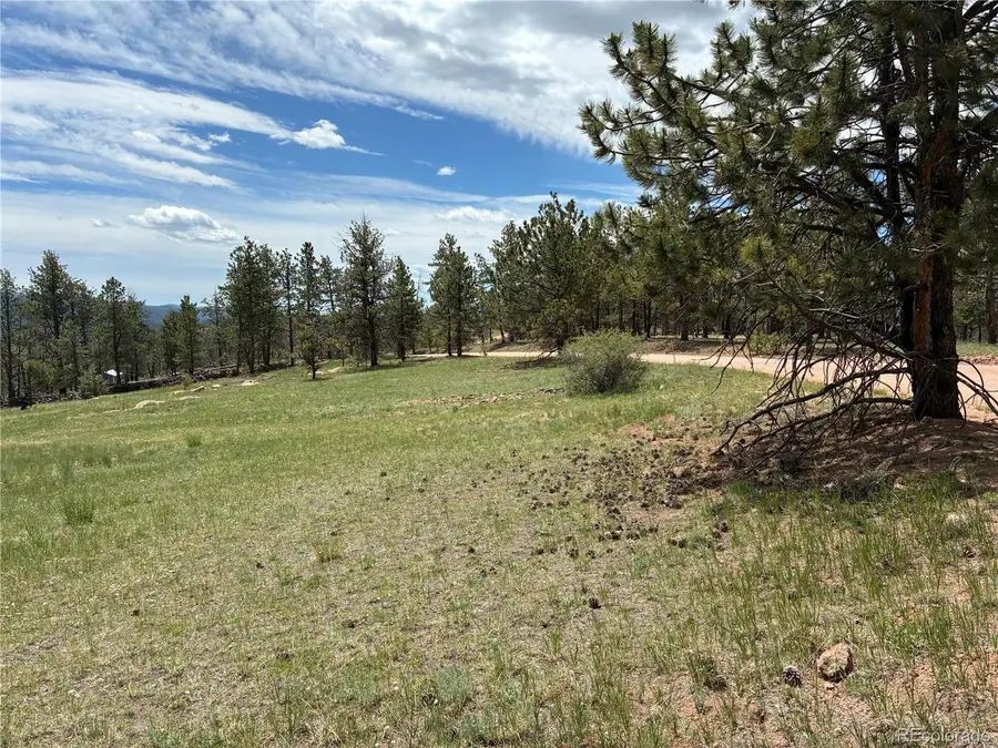 266 Chapparal Trl, Florissant, CO 80816 - #3