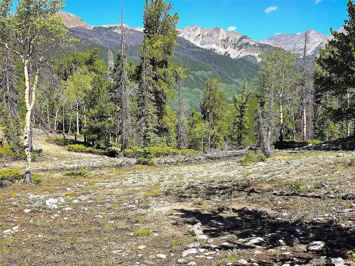 840 Forest Service Road 890, Sargents, CO 81248 - #1