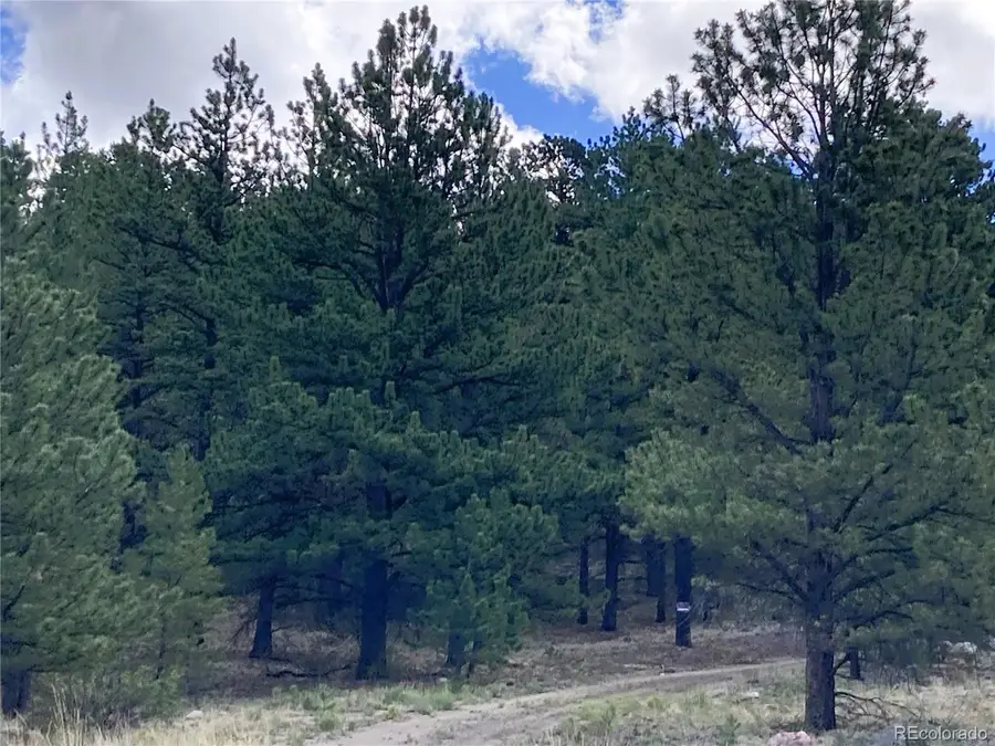 2506 County Road 16, Cotopaxi, CO 81223 - #3