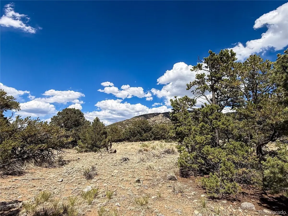 107 Crosstimber Ln, Mosca, CO 81146 - #1
