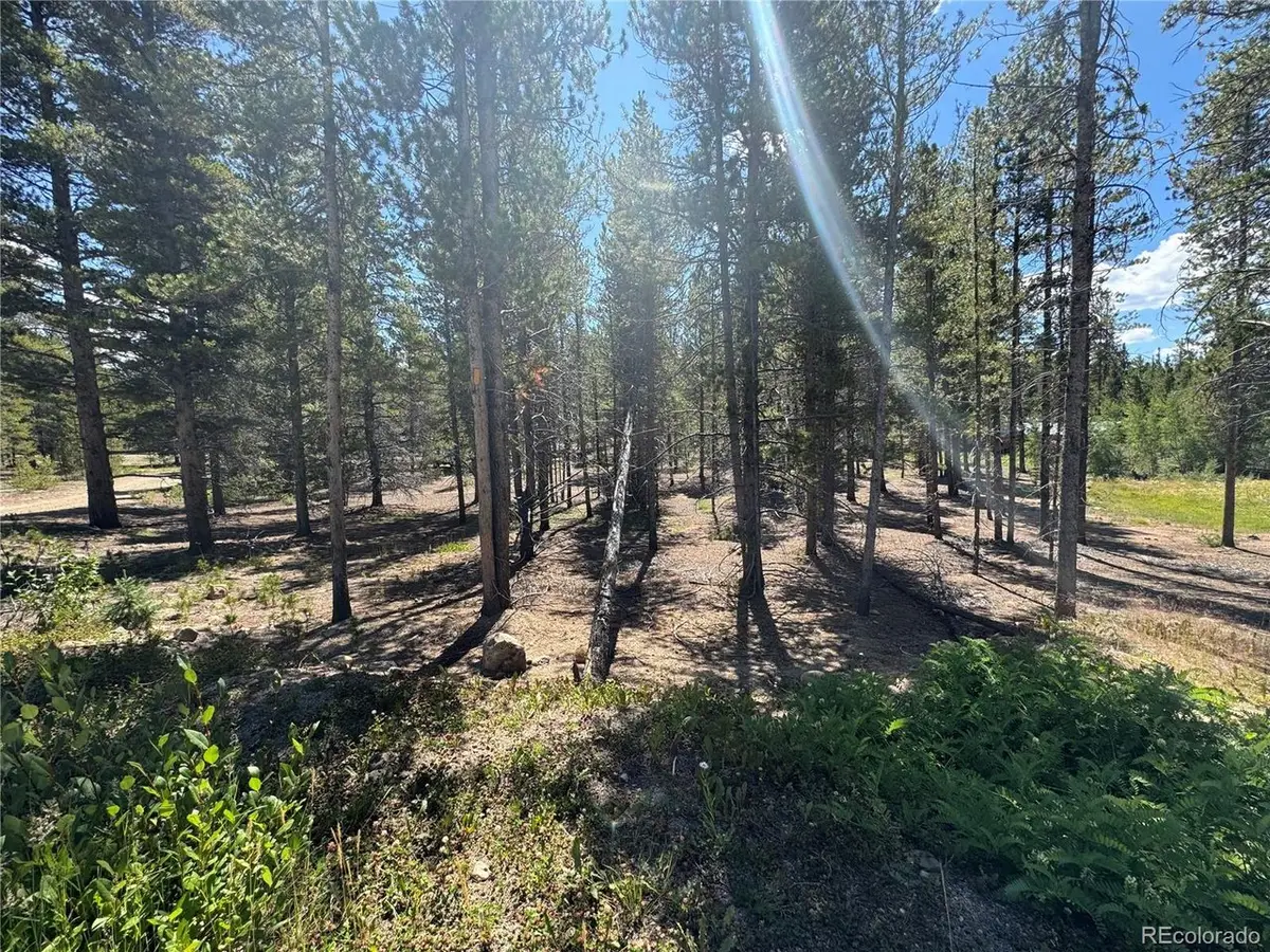 334 Baby Doe Dr, Leadville, CO 80461 - #1