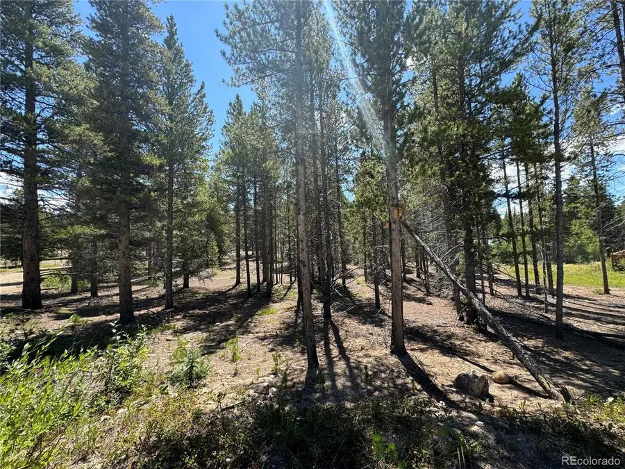 334 Baby Doe Dr, Leadville, CO 80461 - #3