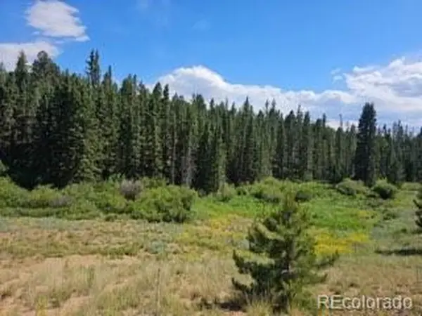 1164 Arapahoe Creek Trl, Florissant, CO 80816