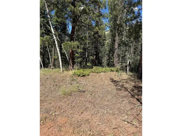 1007 Derby Dr, Cripple Creek, CO 80813