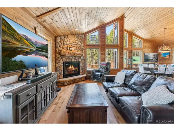 889 Venture Rd, Fairplay, CO 80440