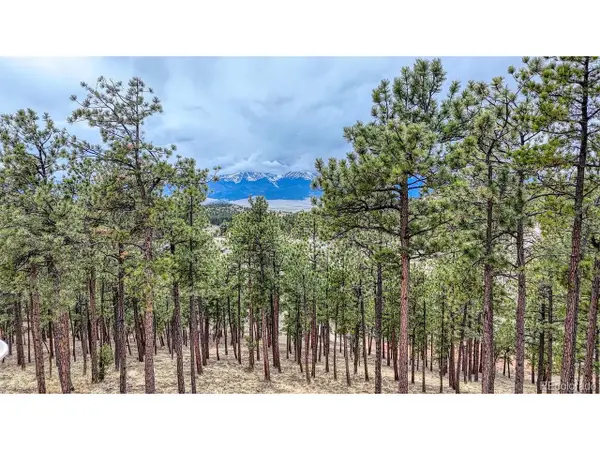 43 S Ben Eaton Ln, Westcliffe, CO 81252