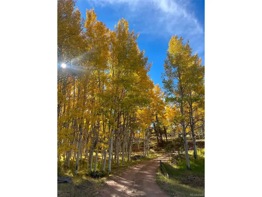 82 S Mountain Estates Rd, Florissant, CO 80816 - #3