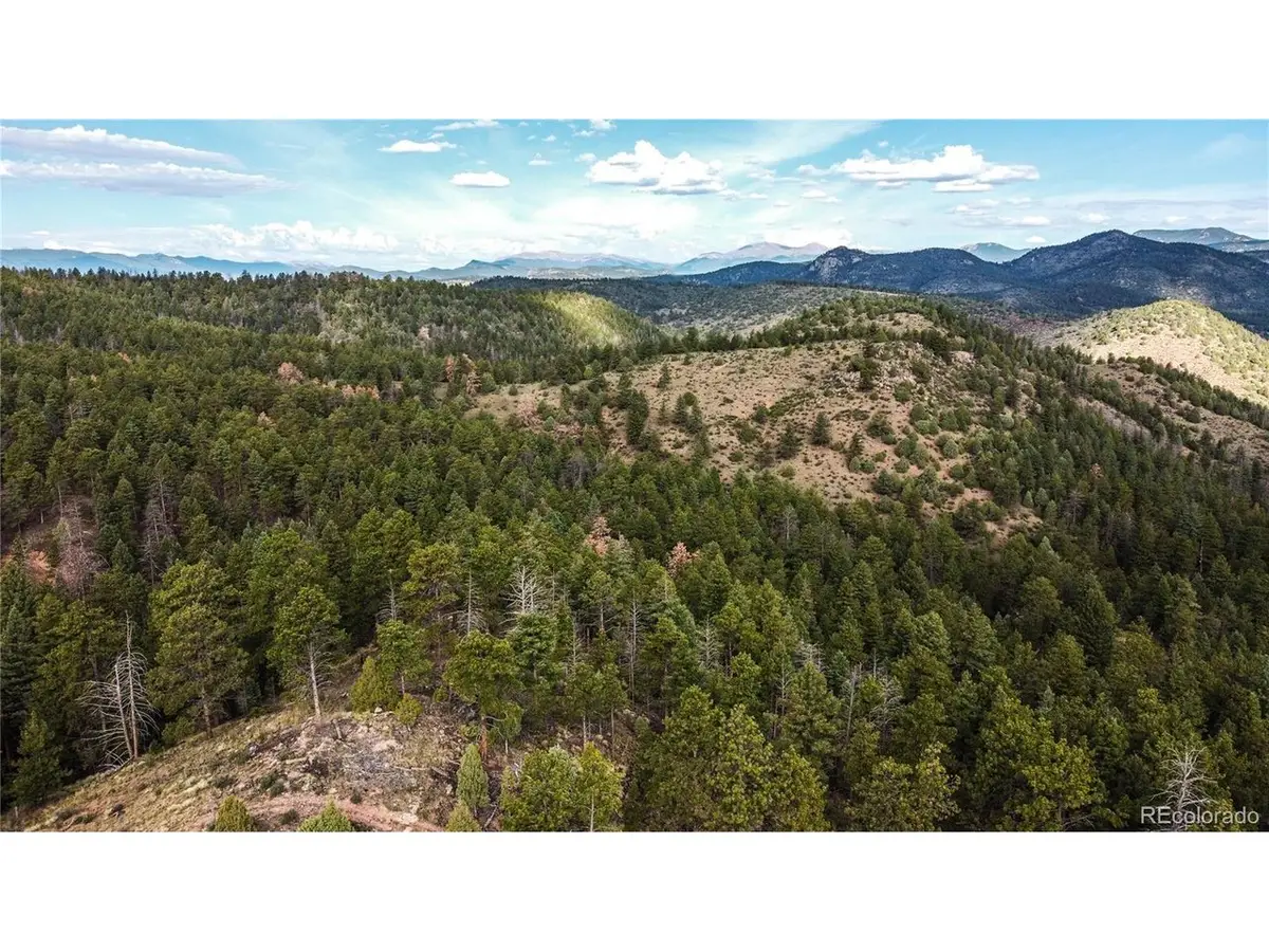 Tbd Cathedral Trl, Conifer, CO 80433 - #1