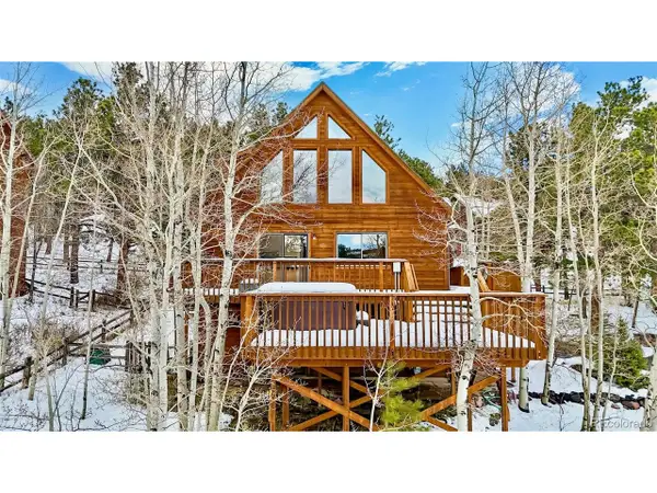12 Navajo Trl, Nederland, CO 80466