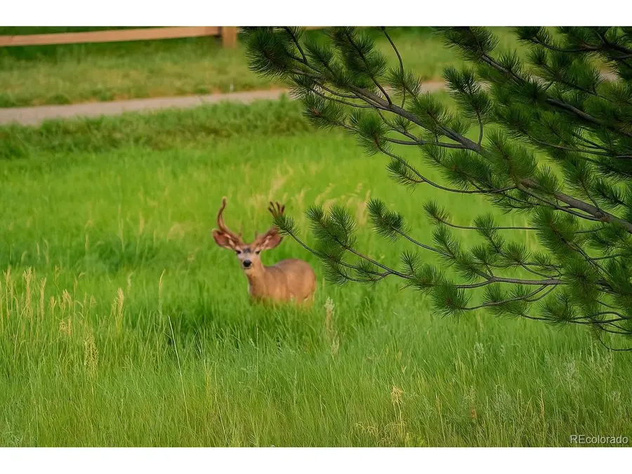 9788 S Johnson Way, Littleton, CO 80127 - Image #2