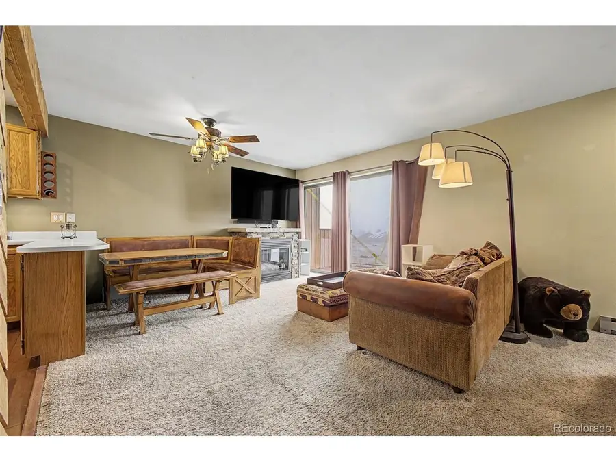 258 County Road 442 #A5, Grand Lake, CO 80447 - #3