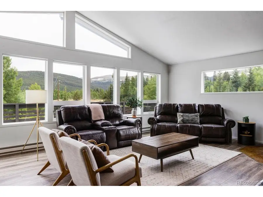 133 Gold Run Rd, Alma, CO 80440 - #2