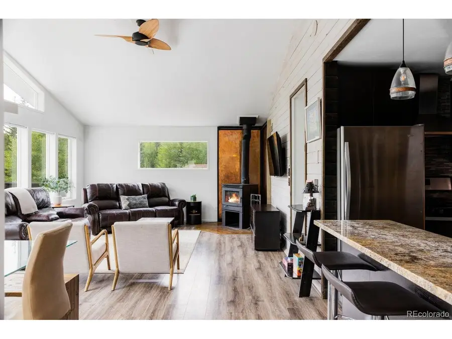 133 Gold Run Rd, Alma, CO 80440 - #3