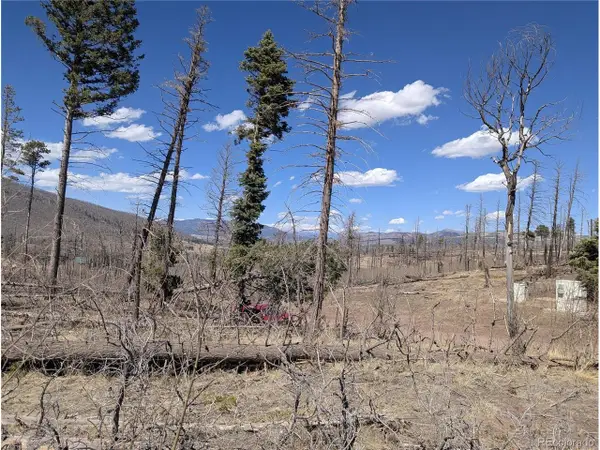 914 Forbes Park Rd, Fort Garland, CO 81133