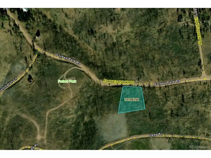914 Forbes Park Rd, Fort Garland, CO 81133 - #2