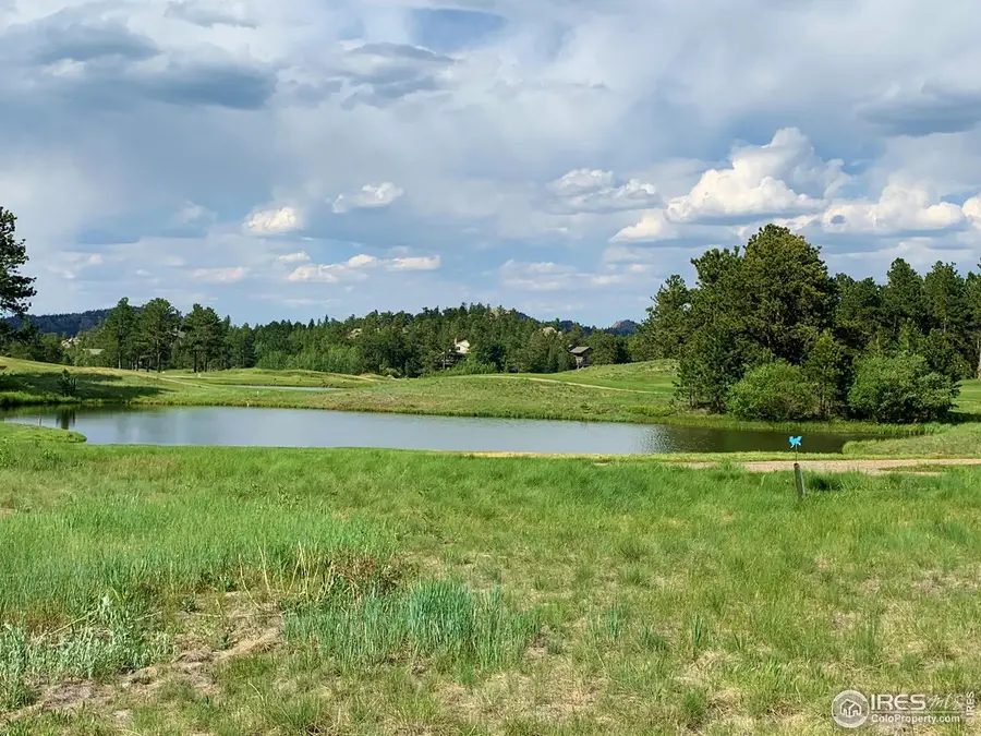 4 Fox Meadow Ln, Red Feather Lakes, CO 80545 - #3