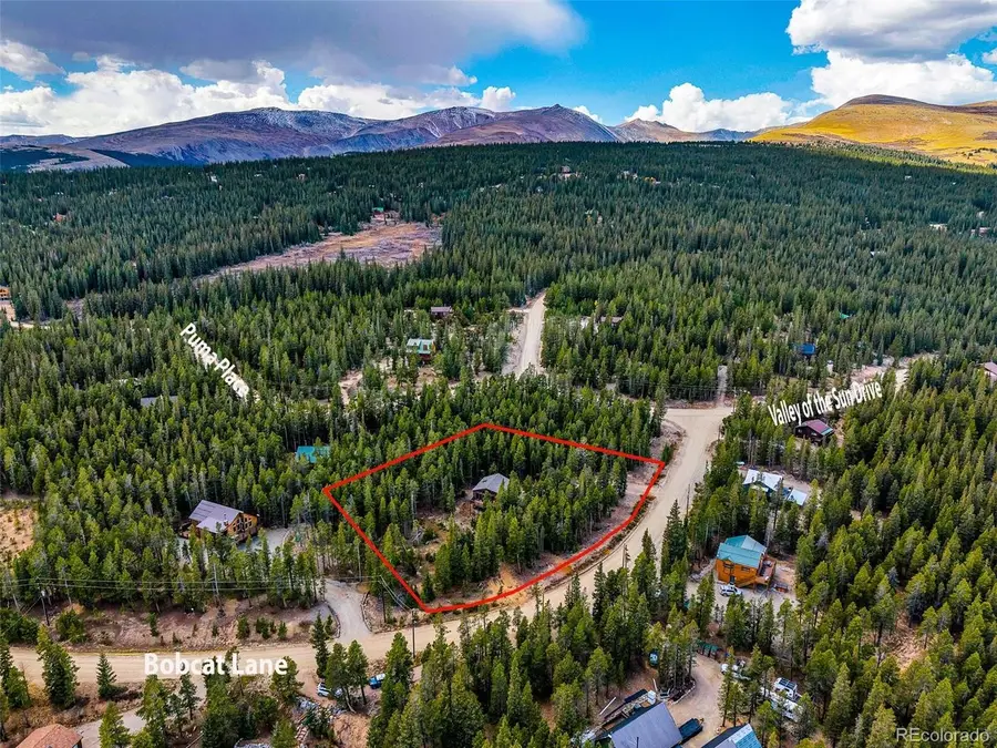 1647 Bobcat Ln, Fairplay, CO 80440 - #2