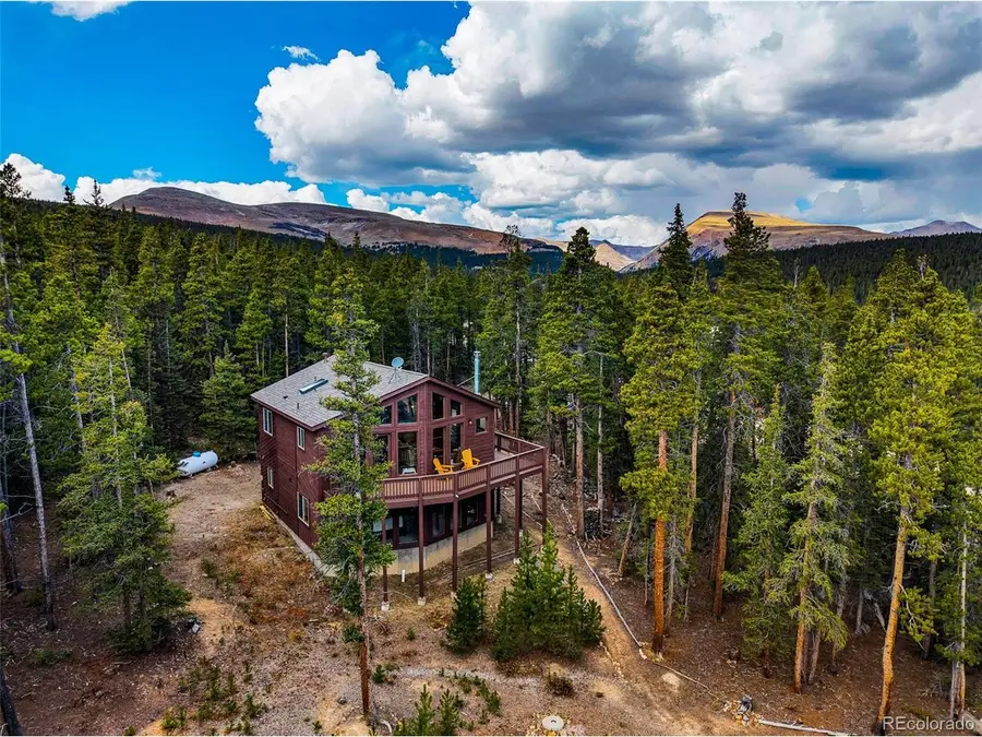 1647 Bobcat Ln, Fairplay, CO 80440 - #3